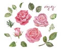 Watercolor collection of pink and red roses, green leaf on white background. Hand drawn beautiful flowers illustration Royalty Free Stock Photo