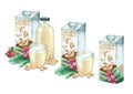 Watercolor collection of plant based cashew milk in cartons with various package design