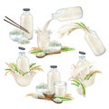 Watercolor collection of plant based milk in the glass bottles and cups decorated with rice, sticks and bowls.