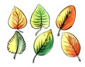 Watercolor collection set of bright autumn leaves of green and yellow colors isolated on white background. Hand drawn season Royalty Free Stock Photo