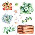 Watercolor collection with succulents plants,pebble stones, branche,wooden pot. Royalty Free Stock Photo