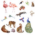 Watercolor collection of tropical animals isolated on a white background Royalty Free Stock Photo