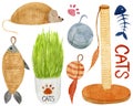 Watercolor set, pets toys, grass in pot, scratching post isolated on white background. For various products, cards etc.