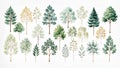 Watercolor collection of various tree illustrations on a white background, perfect for design. Royalty Free Stock Photo