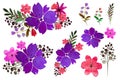 Watercolor colored flower red green violet doodle on white background isolated. Hand drawn elements. Bright art for Royalty Free Stock Photo