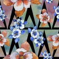 Watercolor colorful aquilegia flower. Floral botanical flower. Seamless background pattern.