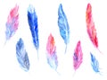 Watercolor colorful bird feather rustic isolated set