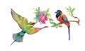 Watercolor colorful Birds and butterfly with leaves and flowers. Royalty Free Stock Photo