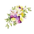 Watercolor colorful bouquet with pansy flowers.