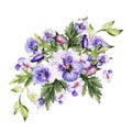 Watercolor colorful bouquet  with pansy flowers. Royalty Free Stock Photo