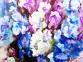 Watercolor colorful bright textured abstract background handmade . Floral pattern .Bouquet of gladiolus flowers in the garden .