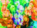 Watercolor colorful bright textured abstract background handmade . Floral pattern .Bouquet of gladiolus flowers in the garden .