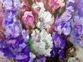 Watercolor colorful bright textured abstract background handmade . Floral pattern .Bouquet of gladiolus flowers in the garden .