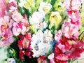 Watercolor colorful bright textured abstract background handmade . Floral pattern .Bouquet of gladiolus flowers in the garden .