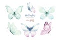 Watercolor colorful butterflies, isolated butterfly on white background. blue, yellow, pink and red butterfly spring Royalty Free Stock Photo