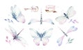 Watercolor colorful butterflies, isolated butterfly on white background. blue, yellow, pink and red butterfly spring Royalty Free Stock Photo