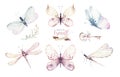 Watercolor colorful butterflies, isolated butterfly on white background. blue, yellow, pink and red butterfly spring Royalty Free Stock Photo