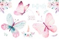 Watercolor colorful butterflies, isolated on white background. blue, yellow, pink and red butterfly illustration.