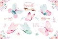 Watercolor Colorful Butterflies, Isolated On White Background. Blue, Yellow, Pink And Red Butterfly Illustration.