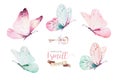 Watercolor colorful butterflies, isolated on white background. blue, yellow, pink and red butterfly illustration. Royalty Free Stock Photo