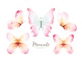 Watercolor colorful butterflies, isolated on white background. blue, yellow, pink and red butterfly spring illustration Royalty Free Stock Photo