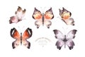 Watercolor colorful butterflies, isolated on white background. blue, yellow, pink and red butterfly spring illustration. Royalty Free Stock Photo