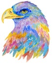 Watercolor colorful eagle head. Hand painting bird illustration on white background.