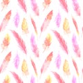 Watercolor colorful feather seamless pattern background texture