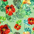Watercolor nasturtium flowers. Version A. Floral seamless pattern for design.