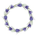 Watercolor colorful handmade round frame with crocus flowers