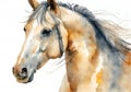 Brown horse head on white and splashed brown paint background, watercolor illustration. Royalty Free Stock Photo