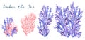 Watercolor colorful illustration of underwater exotic pink, purple and lilac coral samples