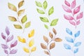 Watercolor colorful leaves set on white background. Hand painting on paper. Isoalted.