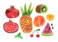 Watercolor colorful set of tropical fruits with clipping mask