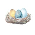 Watercolor colorful three eggs in wooden bird nest isolated on the white background Royalty Free Stock Photo