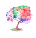 Watercolor colorful tree painting, Abstract watercolor brush hand drawn illustration Royalty Free Stock Photo