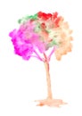 Watercolor colorful tree painting, Abstract watercolor brush hand drawn illustration Royalty Free Stock Photo