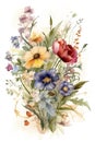 Watercolor colorful wildflowers bouquet on white background Royalty Free Stock Photo