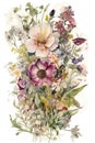 Watercolor colorful wildflowers bouquet on white background Royalty Free Stock Photo