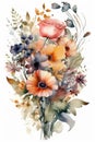 Watercolor colorful wildflowers bouquet on white background Royalty Free Stock Photo