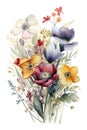 Watercolor colorful wildflowers bouquet on white background Royalty Free Stock Photo