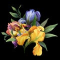 Watercolor colorful wreath with iris flower and leaves on black background