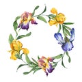 Watercolor colorful wreath with iris flower and leaves isolted on white background