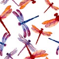 Watercolor colorfull dragonflys in seamless pattern
