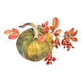 Watercolor composition autumn food. Yellow pumpkin, red berries barberry, orange branch leaves isolated on white