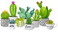 Watercolor composition of cacti and succulents in ceramic pots. Colorful hand drawn border