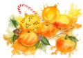 Watercolor composition with Christmas balls and tangerines.