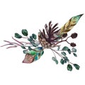 WWatercolor composition consisting of eucalyptus and alder branches, feather and pine cone.