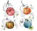 Watercolor composition with linear gourds. Hand painted red, blue, orange pumpkins and leaves isolated on white Royalty Free Stock Photo