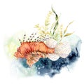 Watercolor composition of lionfish and kelp. Hand painted underwater illustration with coral reef and laminaria isolated Royalty Free Stock Photo